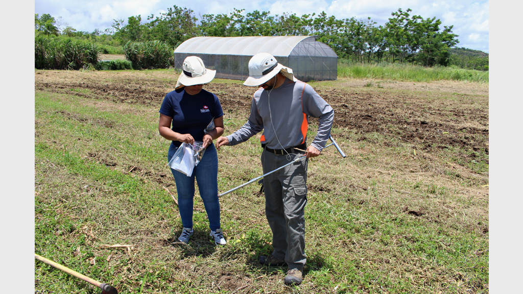 2016. Subvención para Investigación de suelos.
