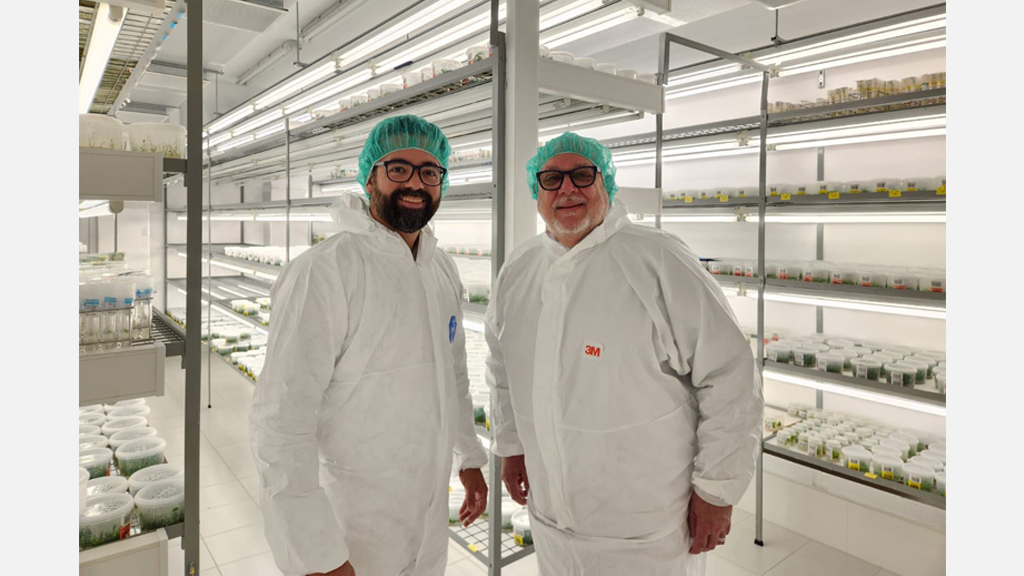 2025. Miembros de AGRO TROPICAL visitan el laboratorio CULTESA de cultivo in-vitro de tejidos de plantas, en Tenerife, Islas Canarias.
